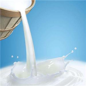 大牛乳品产品图片_大牛乳品店铺装修图片-全球加盟网